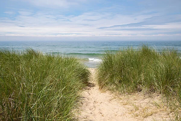 Sandy path through dune grass leading to Lake Michigan