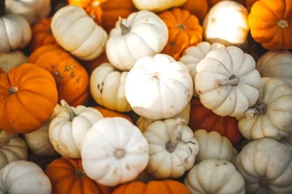 Fall decor basics on a coffee table
