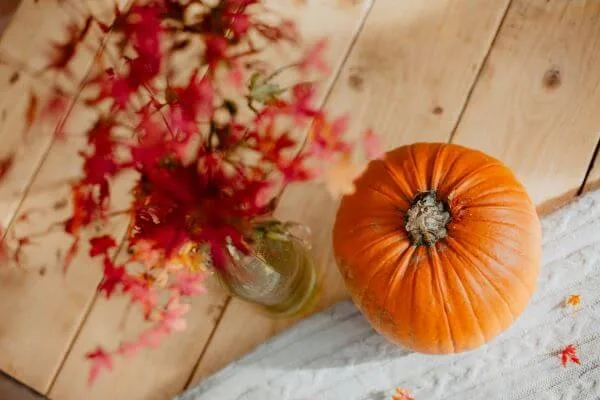 Warm fall colors in a living room