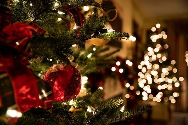 A holiday tree sized for an apartment