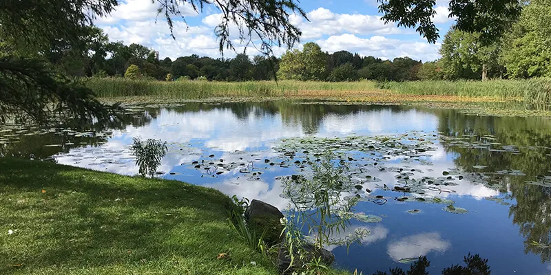 Reeds Lake in East Grand Rapids