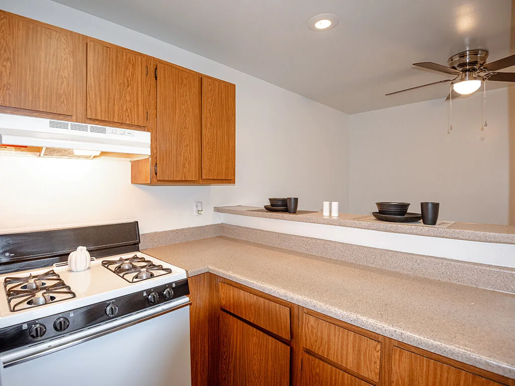 Forest Pointe Apartments - Forest Pointe photo 5